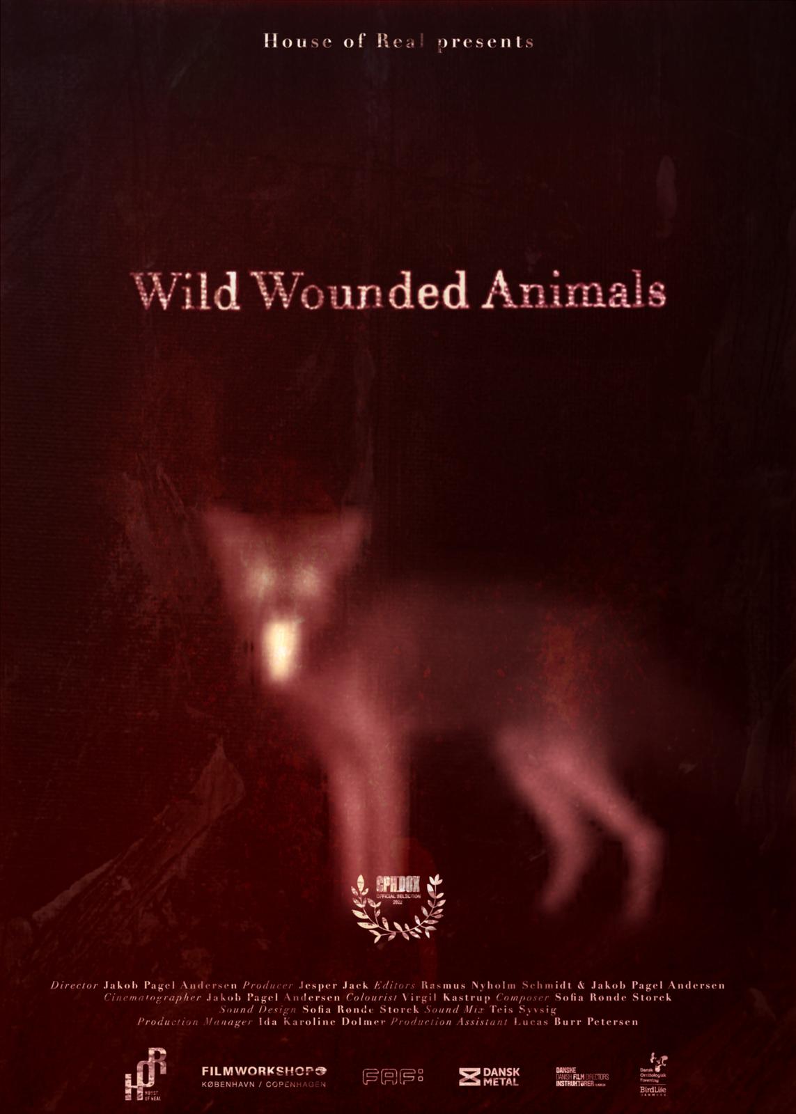 Wild Wounded Animals - Event - The Weird 2026 -CIN