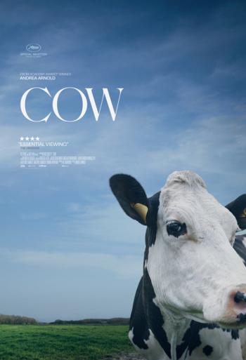 Cow - Andrea Arnold