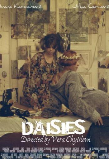 Daisies - Europa