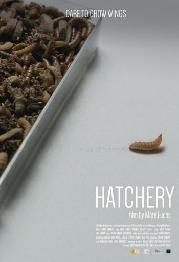 Hatchery - På spektret