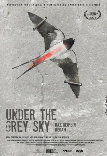 Under the Grey Sky - ExSE