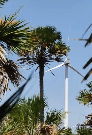 Wind Wind - Event - Latinamerikansk