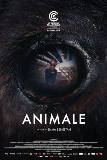 Animale