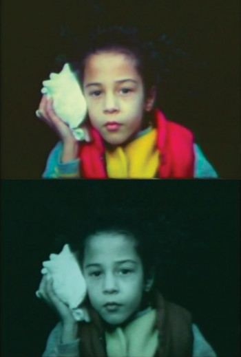 Terrassen / The films of Fanny Howe