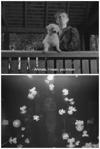 Interspecies Politics: Philosophizing with Dogs