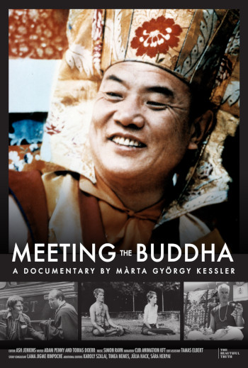 Meeting the Buddha