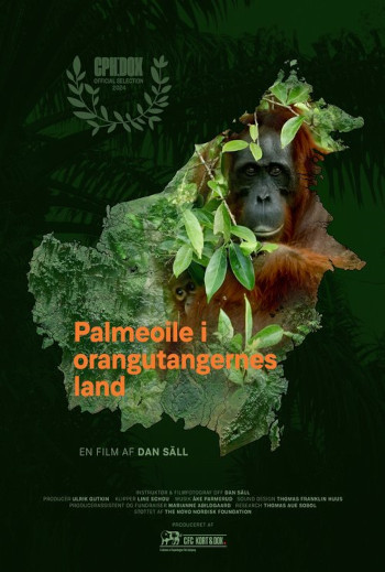 Palmeolie i orangutangernes land
