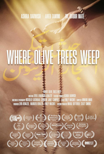 Where Olive Trees Weep