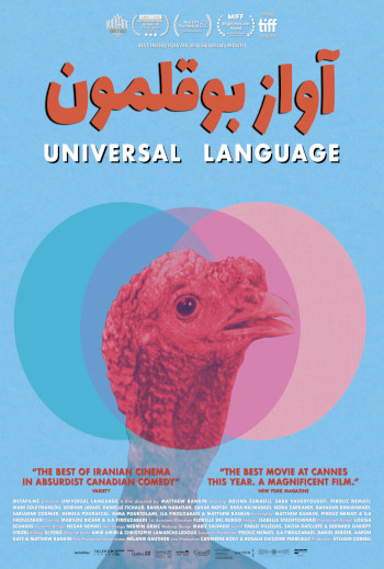 Universal Language