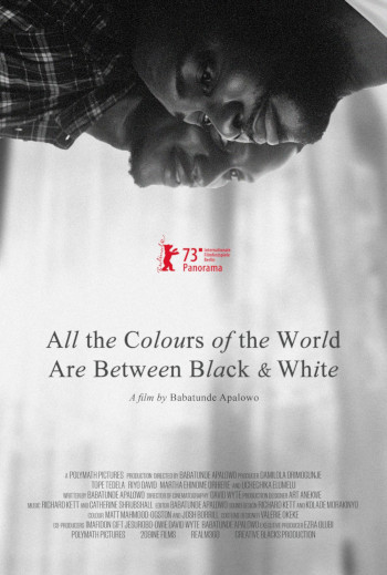 All The Colours Of The World are Between Black and_poster