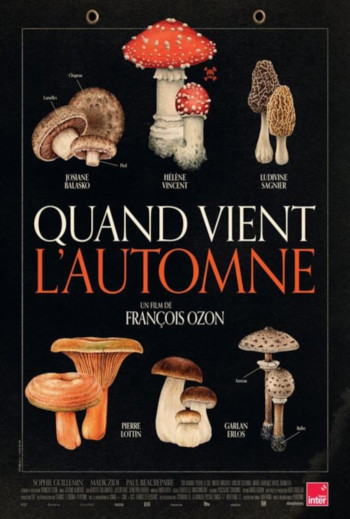 Efterår i Bourgogne_poster