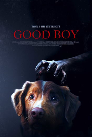 Good boy_poster