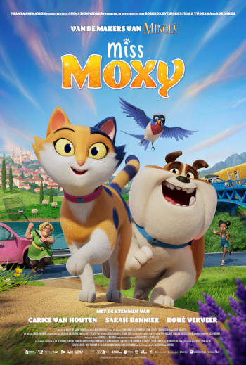 Missen Moxy