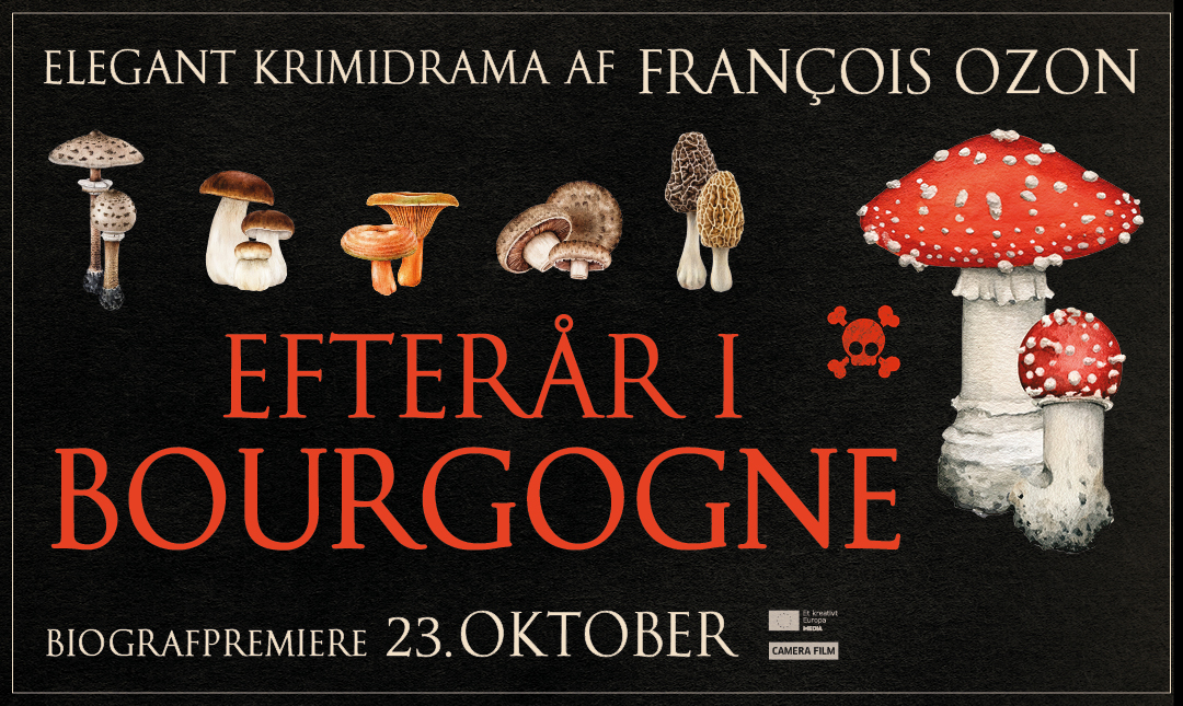 Efterår i Bourgogne_poster