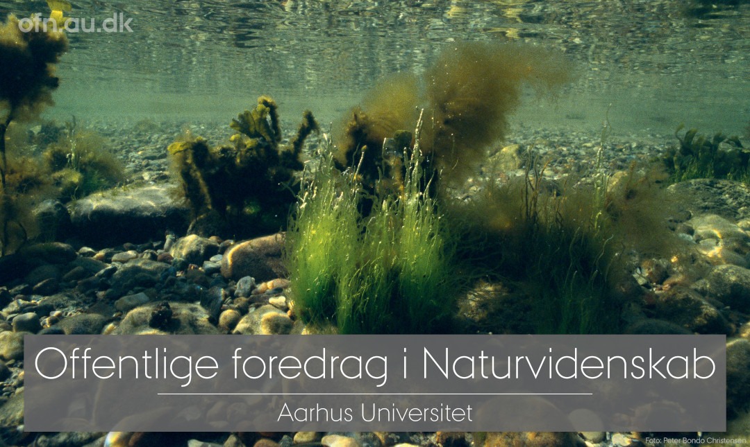 Foredrag: Havets kollaps og vejen tilbage_poster