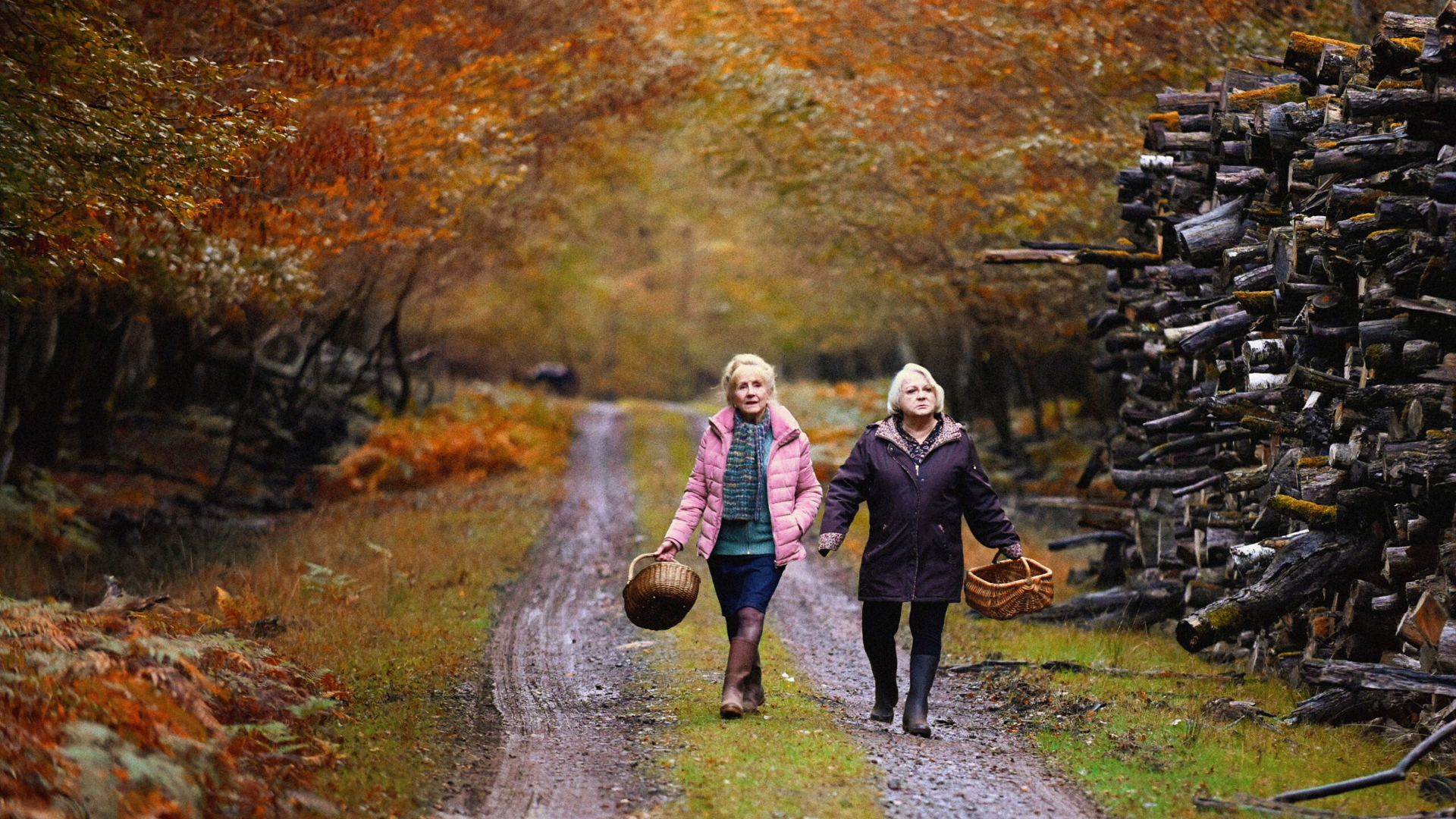 Efterår i Bourgogne_slide_poster