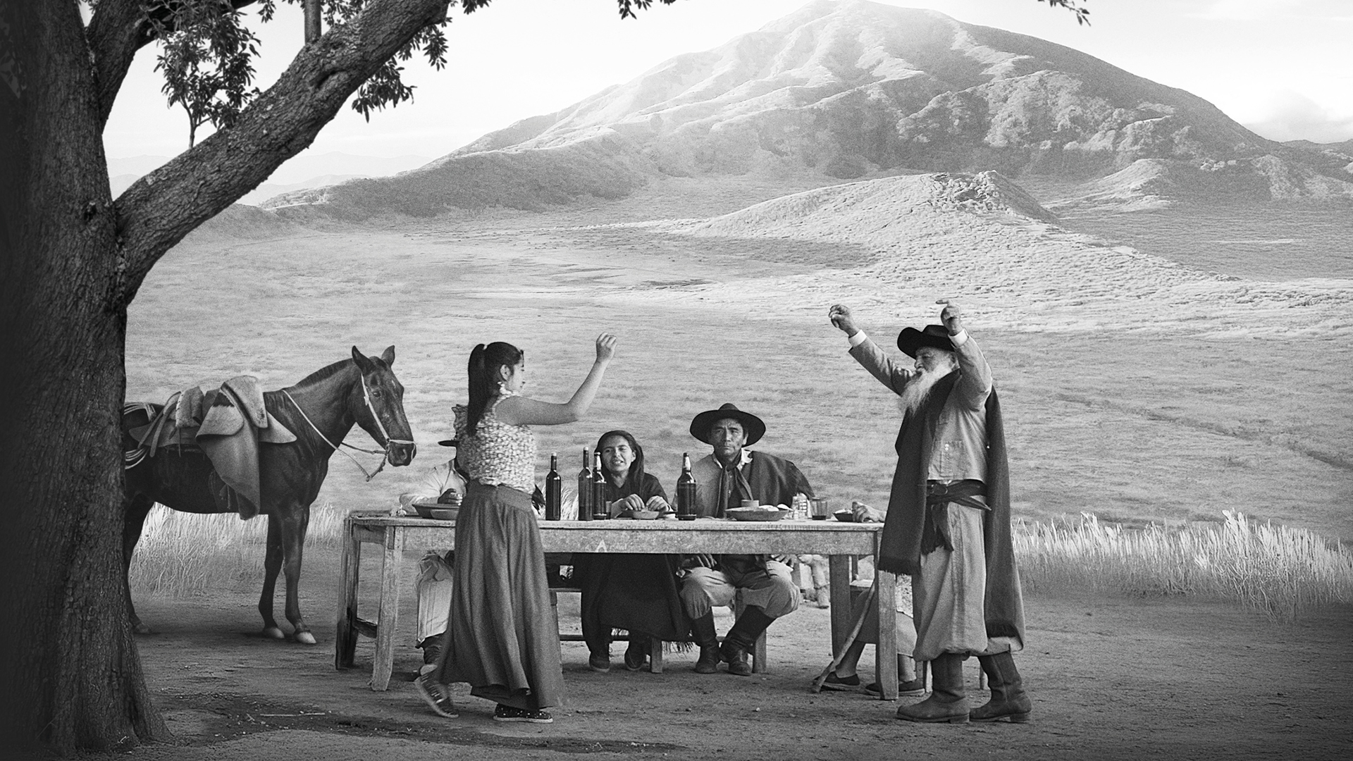 Gaucho Gaucho_slide_poster