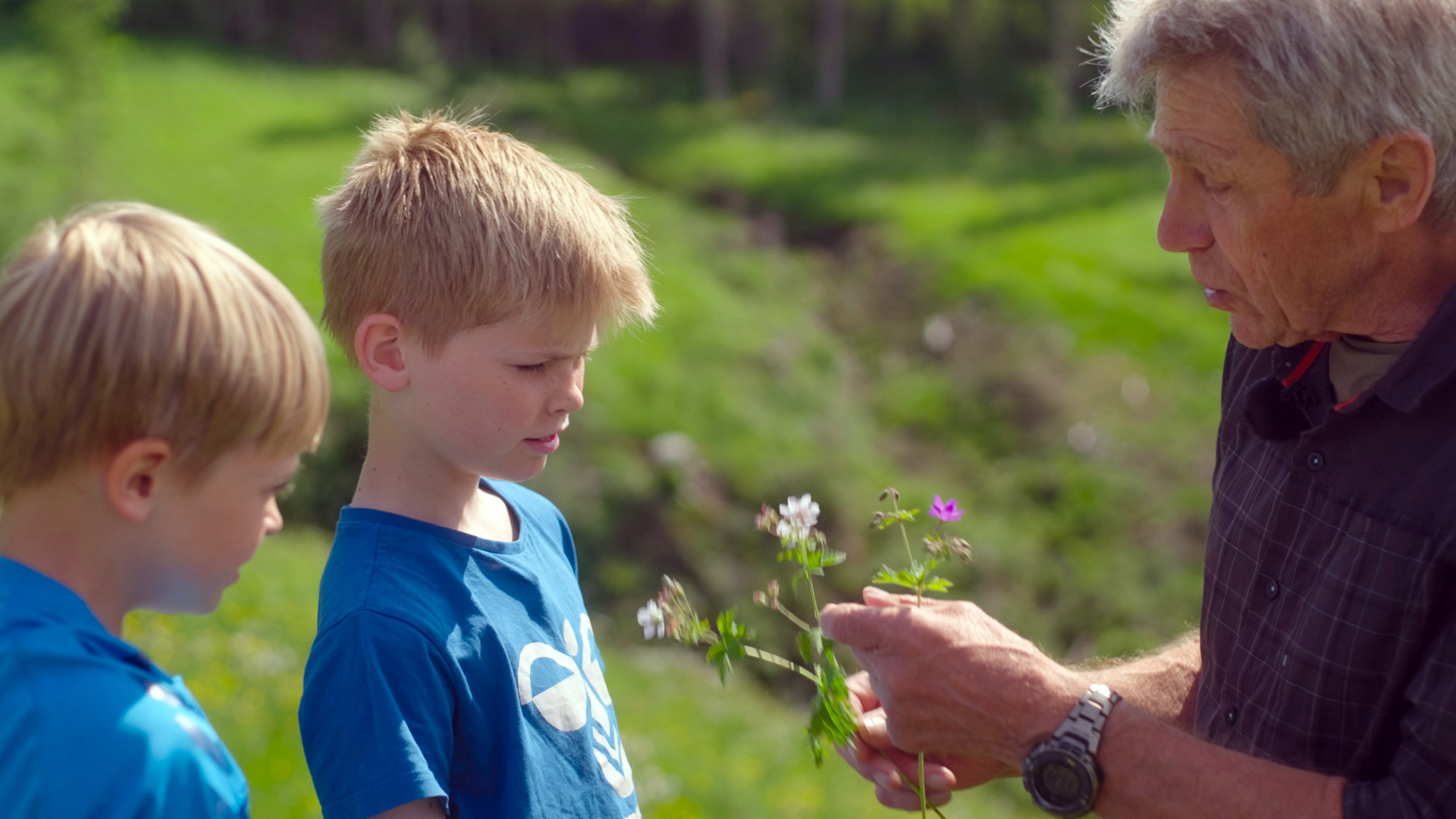 Ilden, Vandet, Jorden, Luften