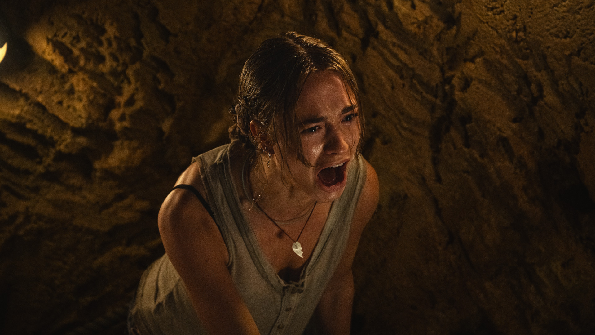 Primate_slide_poster