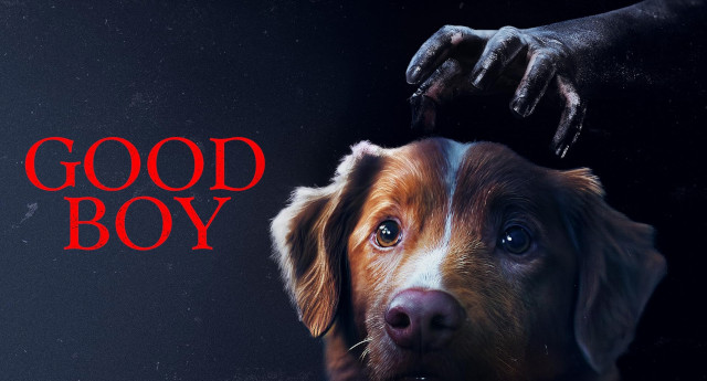 Good boy_slide_poster
