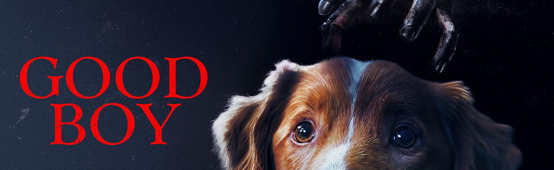 Good boy_slide_poster