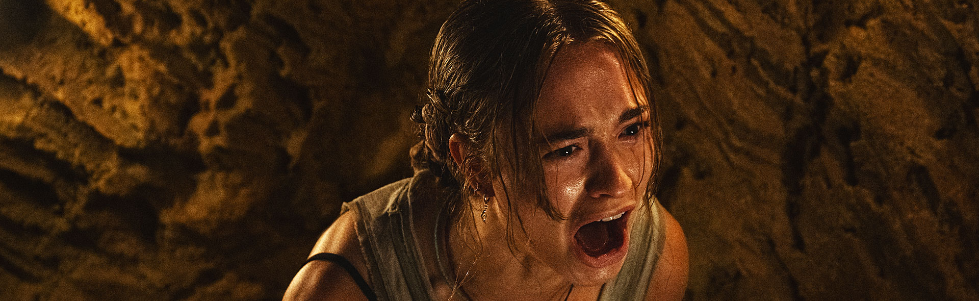 PRIMATE_slide_poster