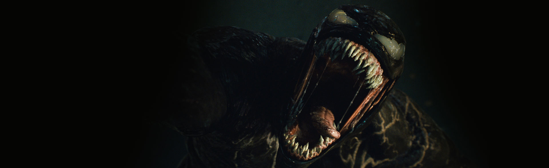 Savant Phobia Opmærksomhed Venom: Let There Be Carnage | Lido Biograferne