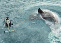 The Meg