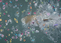The Meg