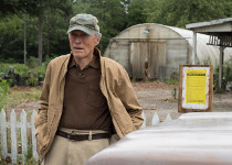 The Mule